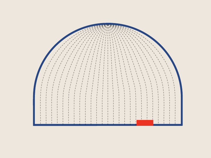 Skullcap illustration showing a small flag label at the edge