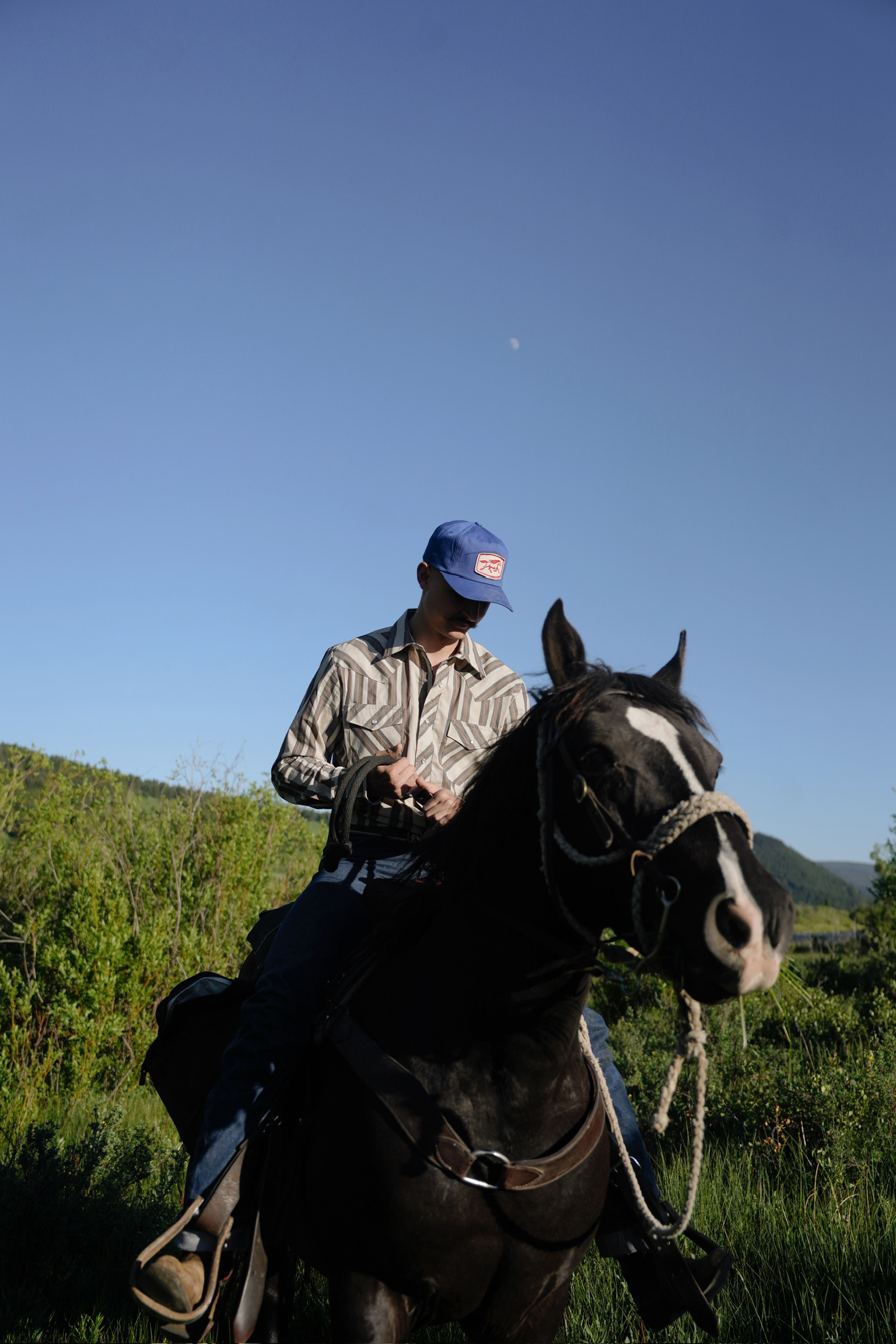 Rustero campaign photograph: a rider wearing a blue patch cap on a black horse